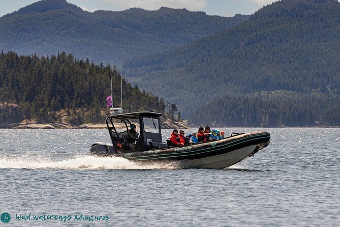 Full Day Whale Watching Campbell River - Why this is more than a quick whale trip
