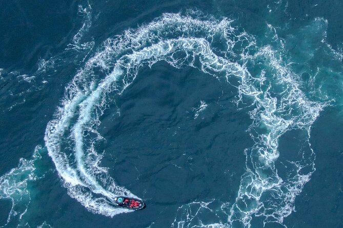 Full Day Whale Watching Campbell River - What the small group means on the water