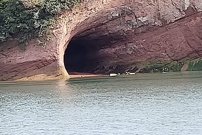 Fundy Coast to Fundy Shore Tour - Reversing Falls Rapids: a river that seems to change direction