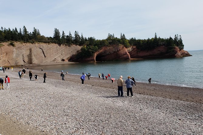 Fundy Coast to Fundy Shore Tour - Who should book this Fundy shore excursion?
