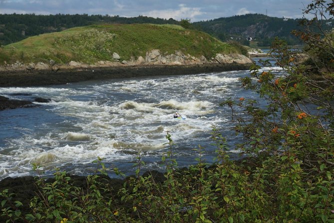 Fundy Coast to Fundy Shore Tour - St. Martins: wharves, lobster traps, and sandstone caves