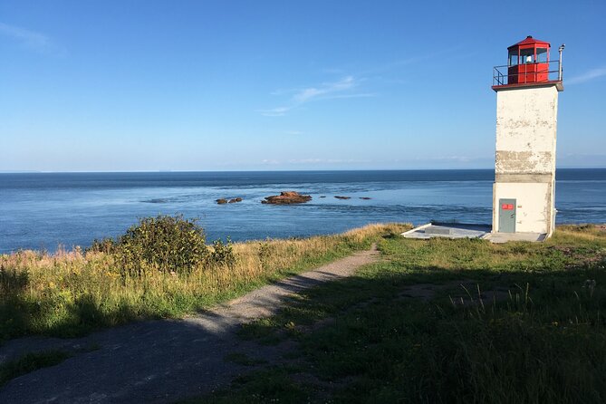 Go Fundy Tours - Why this tour works so well in Saint John