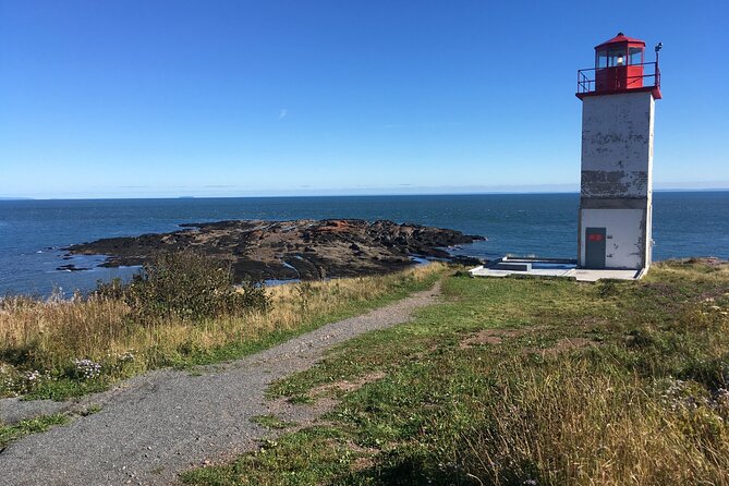 Go Fundy Tours - St. Martins Sea Caves and the Fundy shoreline