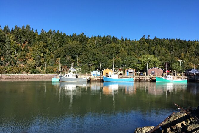 Go Fundy Tours - Snacks, coffee, and the personal touches