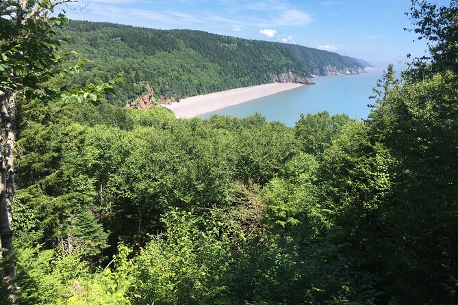 Go Fundy Tours - What the guiding adds
