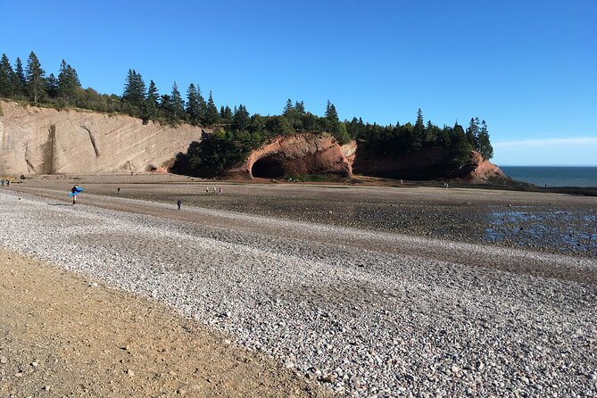 Go Fundy Tours - Who will get the most from the $195 price