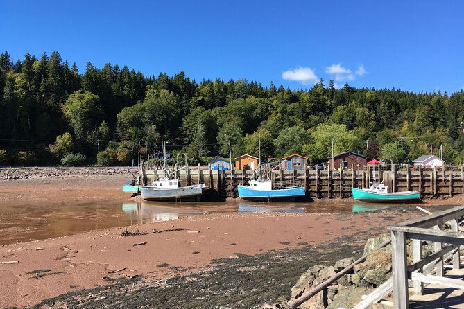 Go Fundy Tours - Reversing Rapids: start and finish with the Bay of Fundy