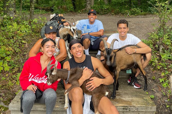 Goat Hiking, Beaver Dam Visit and picnic in Quebec forest - Why this unusual Quebec excursion works