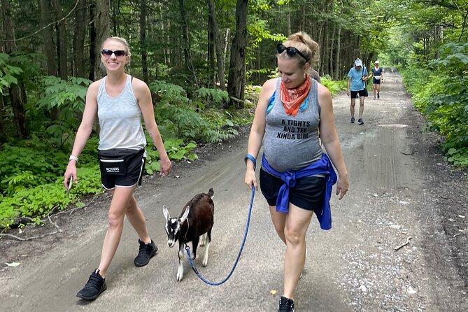 Goat Hiking, Beaver Dam Visit and picnic in Quebec forest - How much value do you get for $78.86?