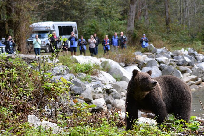 Great Bears of Bute: Grizzly Bear Viewing & Indigenous Cultural Tour - Entering Homalco territory at Orford Bay