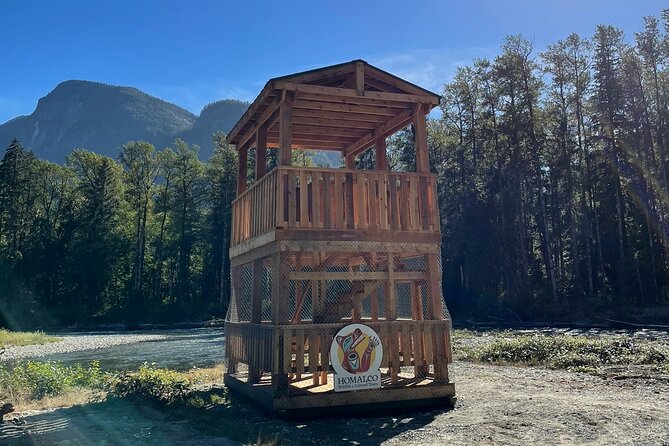 Grizzly Bear Expedition - Food, Drinks, and What the Price Covers