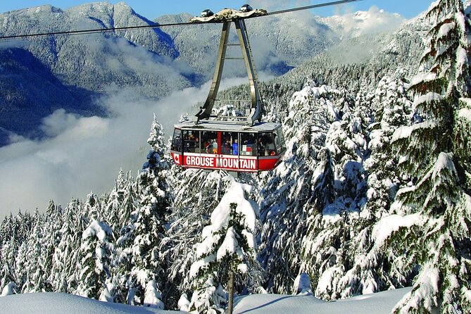 Grouse Mountain Admission Ticket - What the $66.24 ticket really buys you