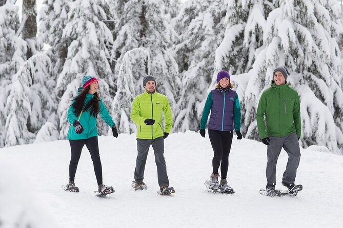 Grouse Mountain Admission Ticket - Summer at Grouse Mountain: bears, birds, and lumberjacks