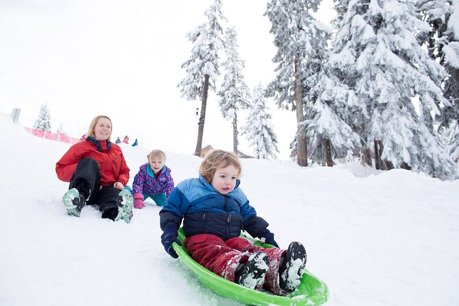 Grouse Mountain Admission Ticket - Winter turns the peak into a snow day
