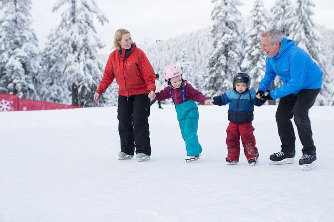 Grouse Mountain Admission Ticket - Getting from Vancouver to the mountain