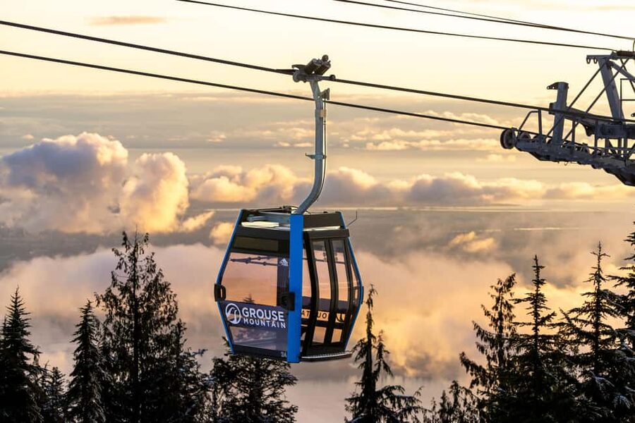 Grouse Mountain, Capilano Bridge & Fish Hatchery Tour - From downtown Vancouver to the North Shore