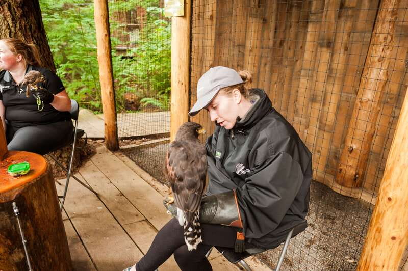Grouse Mountain, Capilano Bridge & Fish Hatchery Tour - The Capilano River Salmon Hatchery