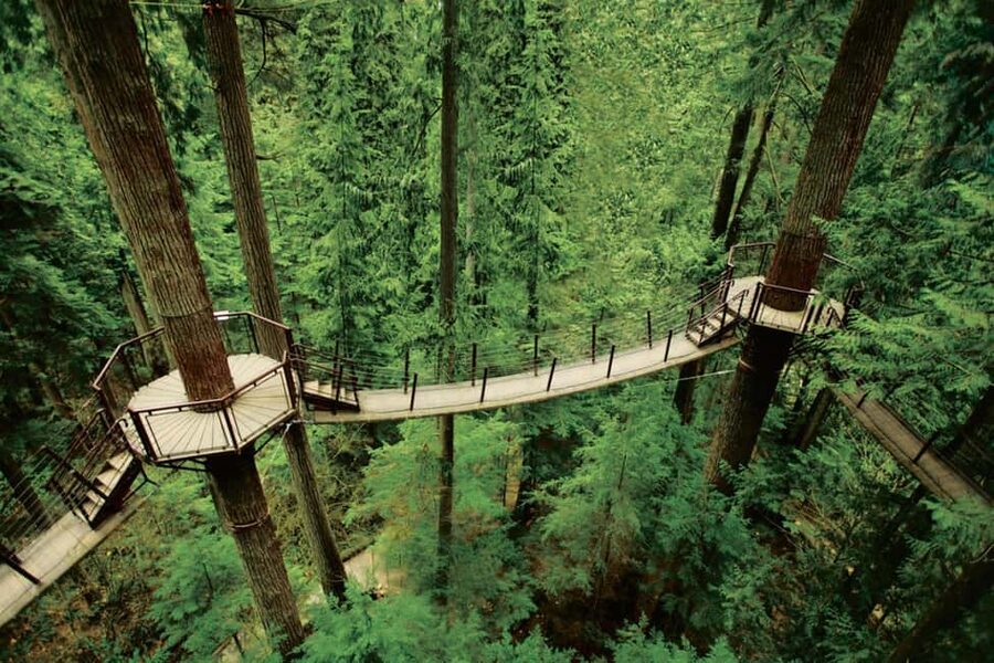 Grouse Mountain, Capilano Bridge & Fish Hatchery Tour - How good are the guides?