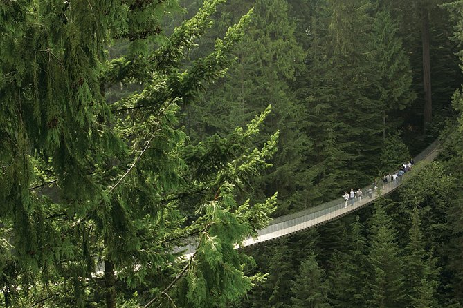 Grouse Mountain & Capilano Bridge Tour with Fish Hatchery - The Capilano Salmon Hatchery adds a useful local lesson