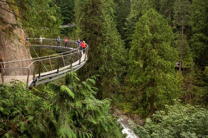 Grouse Mountain & Capilano Bridge Tour with Fish Hatchery - Who should book this North Shore day?