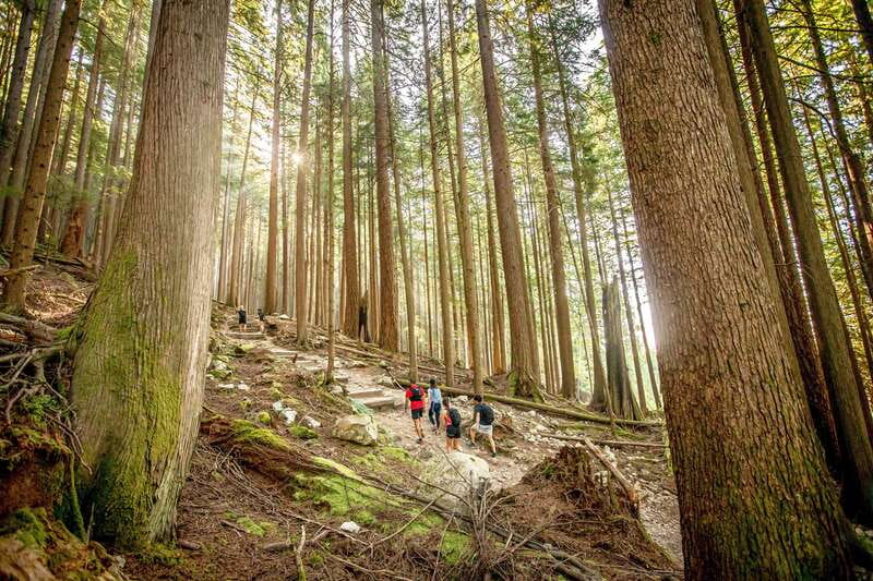 Grouse Mountain Skyride Admission Ticket - Food, facilities, and comfort
