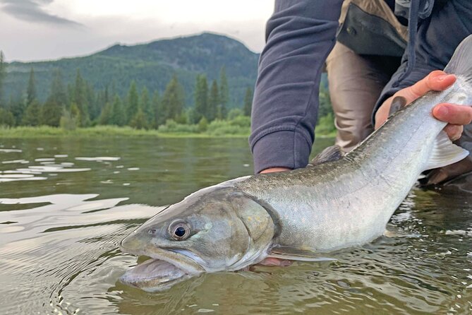 Guided Fishing Adventure in Whistler - Patient instruction makes this a good first fishing trip