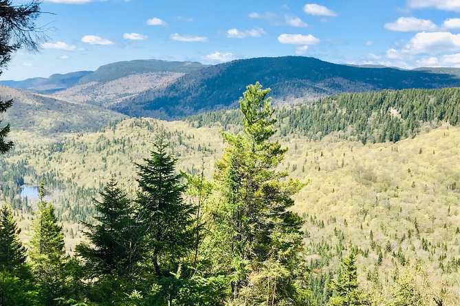 Guided Hike in Jacques-Cartier National Park - Weather, Wildlife, and What to Pack