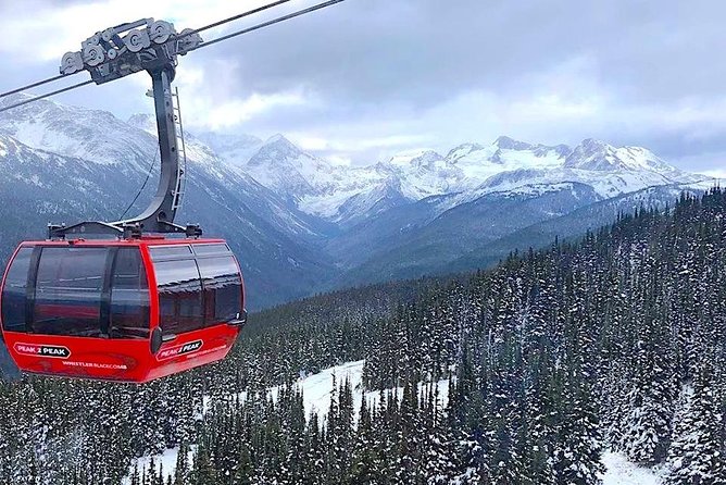 Guided Sightseeing Tour in Vancouver, Shannon Falls and Whistler - Seasonal bald eagles and extra filming locations