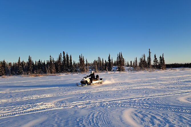Guided Snowmobile Adventure - Forest trails and frozen lakes over 16 kilometres