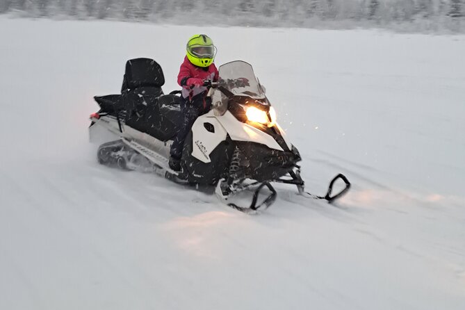 Guided Snowmobile Adventure - What the $120.16 price really buys you