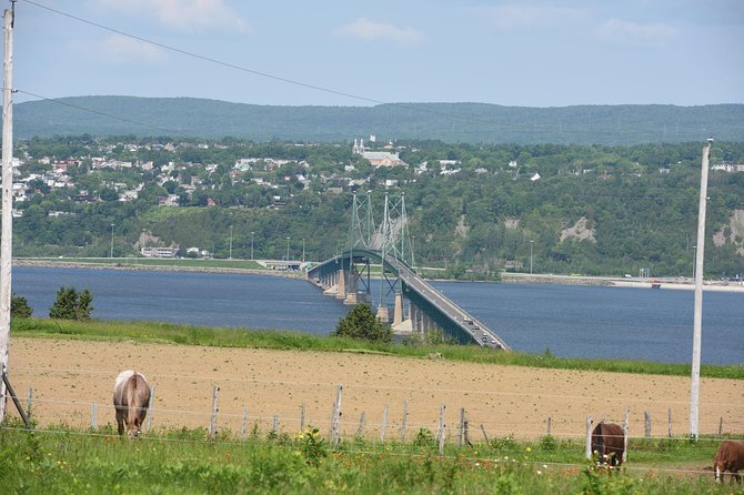 Half-Day Trip to Montmorency Falls and Ste-Anne-de-Beaupré from Quebec city - What the guides add to the experience