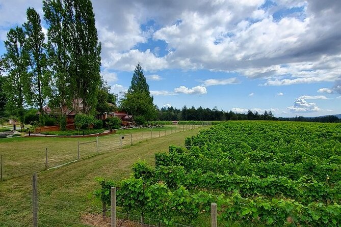 Half-Day Victoria to Cowichan Valley Wine Tour with Tastings - Unsworth Vineyards and the Working Side of Wine