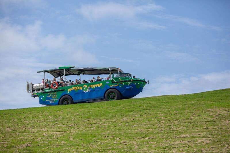 Halifax: Harbour Hopper City & Water Cruise in a Duck Boat - Should You Book the Halifax Harbour Hopper?