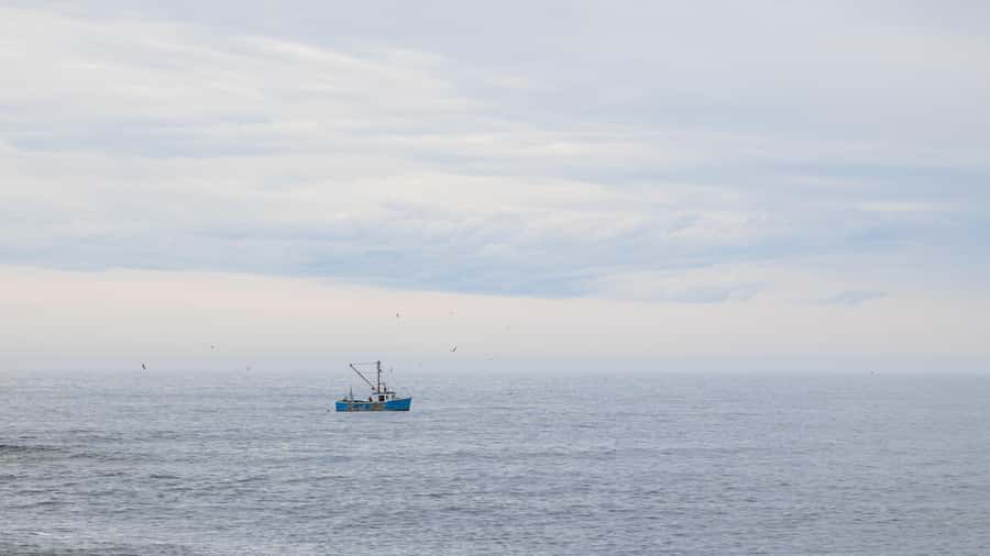 Halifax Small-Group Express Peggy’s Cove Tour - Free time for shops, food, and sea views