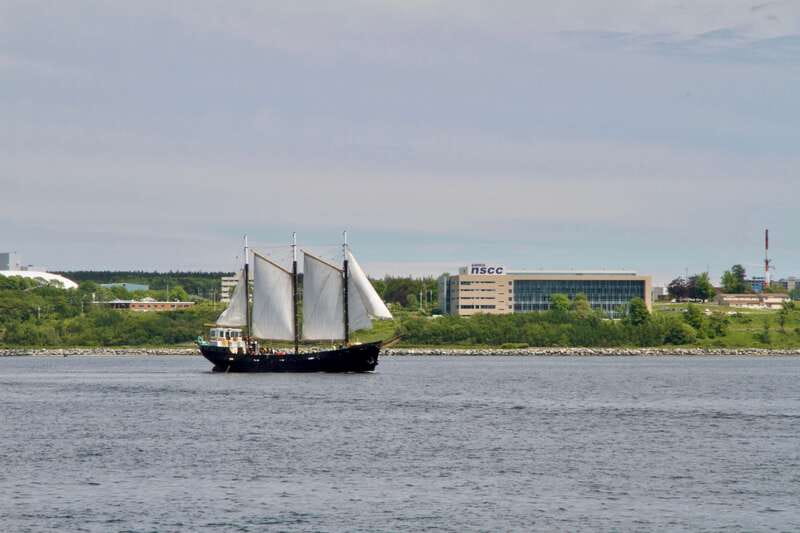 Halifax: Tall Ship Harbor Sailing Cruise with Live Music - Booking And Weather Details
