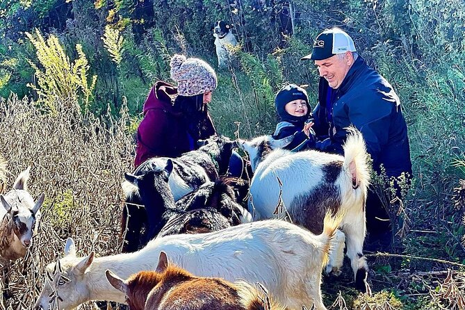 Haute Goat Shmurgle in Ontario - Key points to know before you go