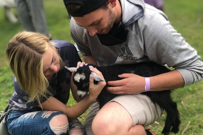 Haute Goat Shmurgle in Ontario - Time in the goat playground