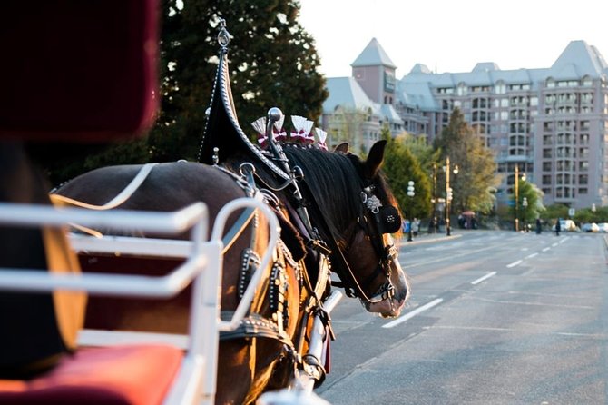 Heritage Horse-Drawn Carriage Experience in Victoria - Why James Bay Makes a Good Carriage Route