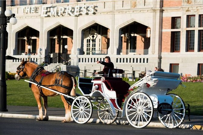 Heritage Horse-Drawn Carriage Experience in Victoria - Riding Past the Legislative Assembly of British Columbia