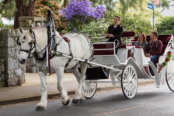 Heritage Horse-Drawn Carriage Experience in Victoria - Carr House and the Story of Emily Carr