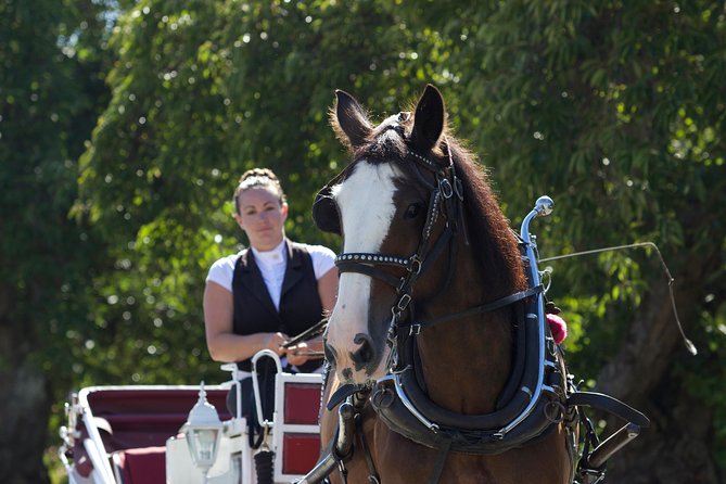 Heritage Horse-Drawn Carriage Experience in Victoria - Is 30 Minutes Enough for Victoria?