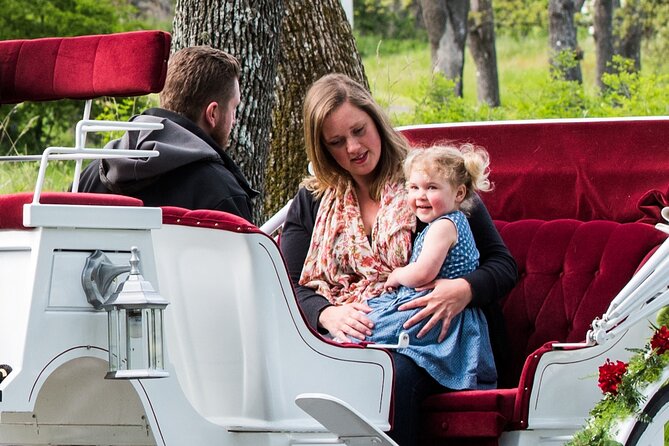 Heritage Horse-Drawn Carriage Experience in Victoria - Old Town Stories From a Horse-Drawn Carriage