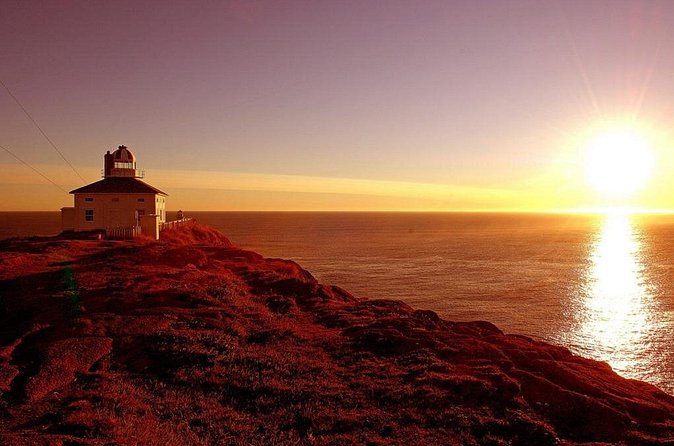 Historic St. John's Newfoundland and Cape Spear Tour - Signal Hill, Cabot Tower, and the harbor below