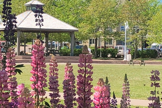 Historic Walking Tour of Charlottetown - Key points at a glance