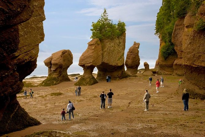 Hopewell Rocks Admission - Key points before you go