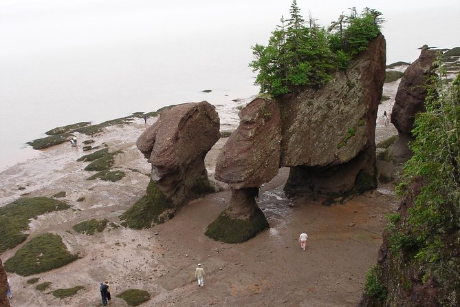 Hopewell Rocks Admission - Why Hopewell Rocks is worth your time