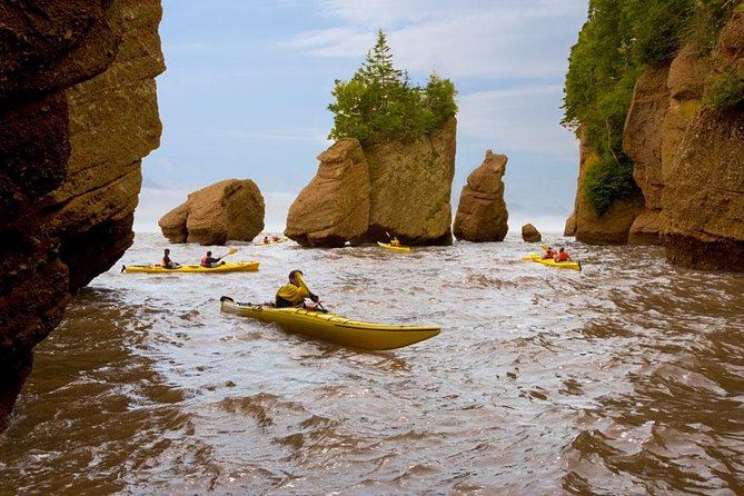 Hopewell Rocks Admission - Getting from the welcome centre to the ocean floor