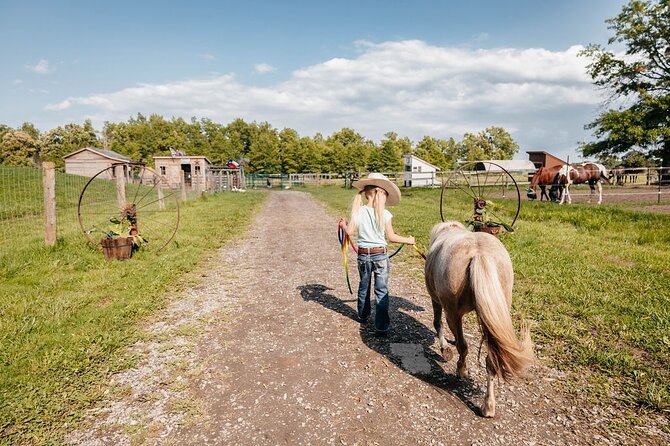 Humberstone Ranch Visit with Mini Domestic Animals - Indian Runner Ducks and a lesson in posture