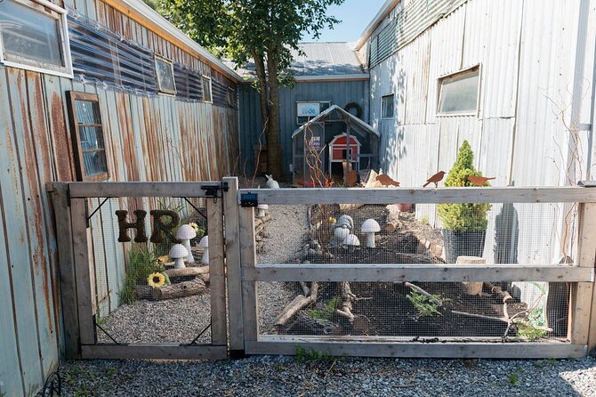 Humberstone Ranch Visit with Mini Domestic Animals - How the guides shape the experience