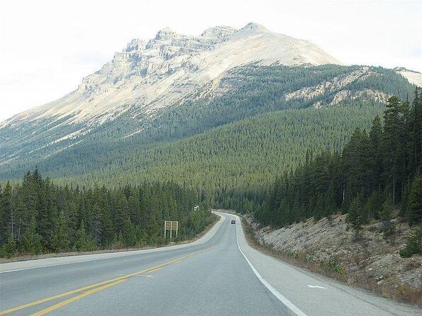 Icefields Parkway and Ice Bubbles of Abraham Lake Adventure - Key points to know before booking